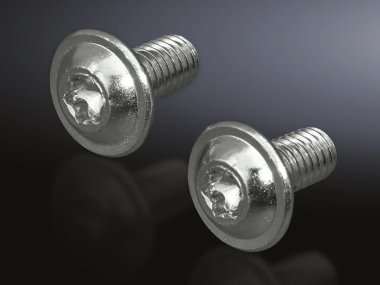 Rittal Torx Schrauben 1=300   SZ 2504500 