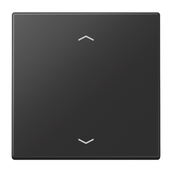 Jung Wippe f.Taster BA 1f      LS990PSWM 