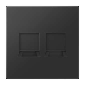 Jung Abdeckung f.MJ 2f WE  LS1969-2WESWM 