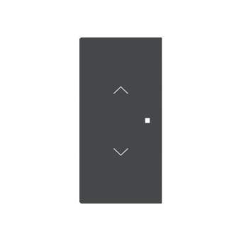 BJ Wippe 2-fach m.Symbol     6232-20-45M 