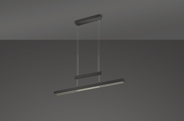 TRIO                           375310532 