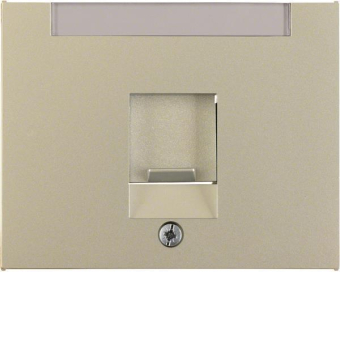 Berker Zentralstück m.Staub-    11707004 