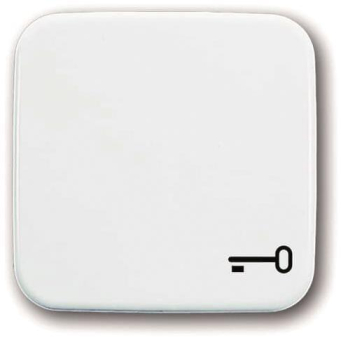 BJ Reflex SI Wippe Schlüssel  2520TR-214 