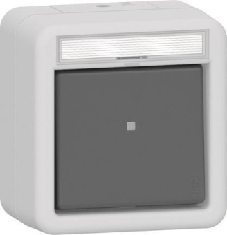 GIRA 315631 Wipptaster Wechsler BSF 