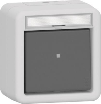 GIRA 310631 Wippschalter Aus-Wechsel BSF 