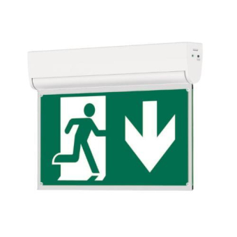 DOTLUX LED-Rettungsleuchte   5508-060360 