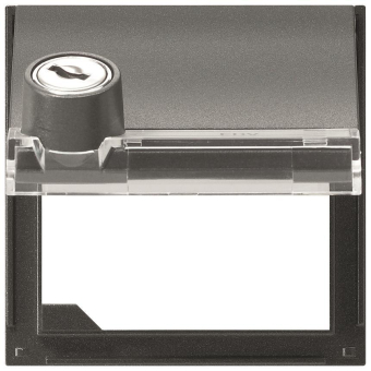 GIRA 069767 Adapterrahmen KD Schloss 