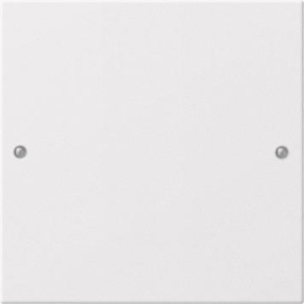 GIRA 218103 Wippenset 1fach System 55 