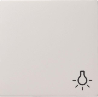 GIRA 028527 Wippe Symbol Licht System 55 