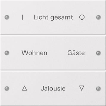 GIRA 220303 Wippenset 3fach beschreibbar 