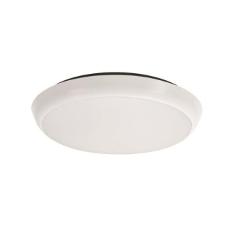 Brumberg                        10028183 