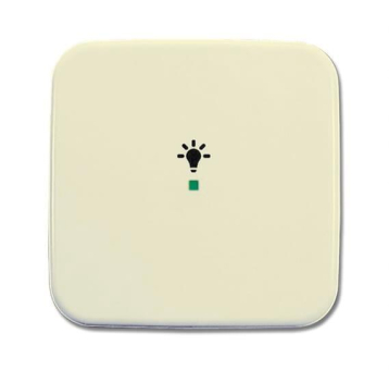 BJ Wippe 1-fach,Symbol Licht 6231-10-212 