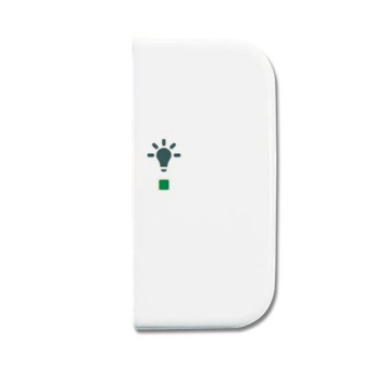BJ Wippe 2-fach Symbol Licht 6231-22-214 