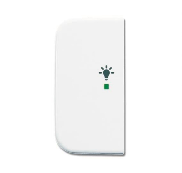 BJ Wippe 2-fach Symbol Licht 6231-21-214 