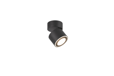 TRIO Ein-/Aufbauspot TAURUS sw 652910132 