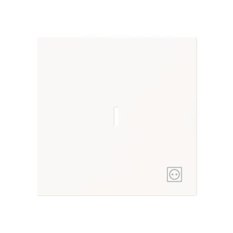 BJ Wippe m.Symbol "Stecker"  1789 ST-44M 