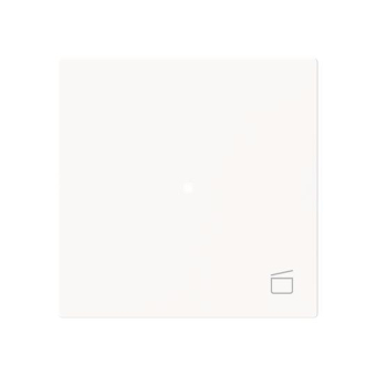 BJ Wippe 1-fach m.Symbol     6233-10-44M 