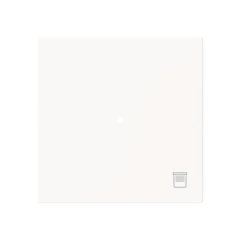 BJ Wippe 1-fach m.Symbol     6232-10-44M 