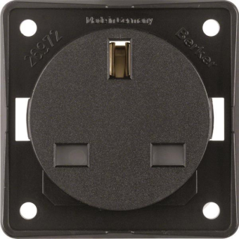 Berker Steckdose m.Schutz-      09626205 