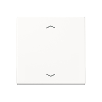 Jung Steuertaste Standard       A1700PWW 