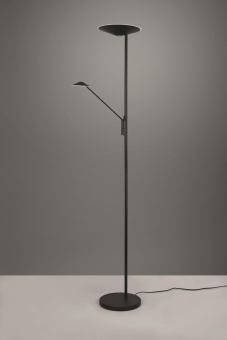Trio LED-Stehl BRANTFORD 30W   425610232 