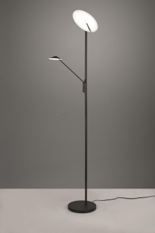 Trio LED-Stehl BRANTFORD 30W   425610232 
