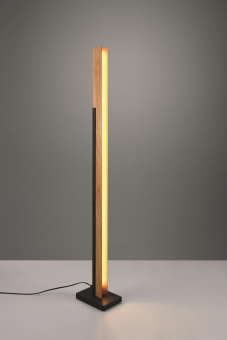 TRIO LED Stehleuchte KERALA sw 441610132 