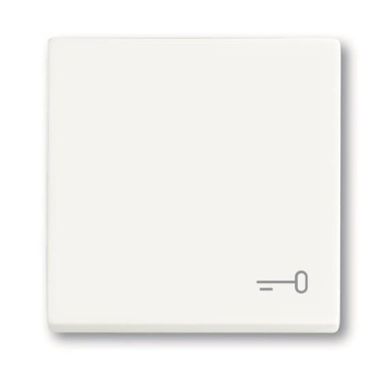 BJ Wippe m.Aufdruck          2520 TR-884 