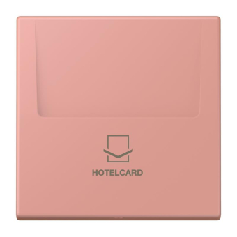 Jung Hotelcard-Schalter  LC 590 CARD 246 