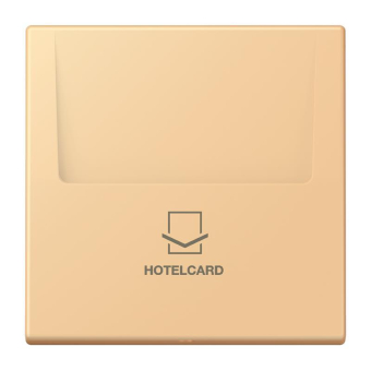 Jung Hotelcard-Schalter  LC 590 CARD 258 