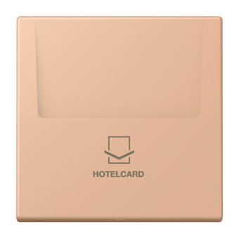 Jung Hotelcard-Schalter  LC 590 CARD 231 