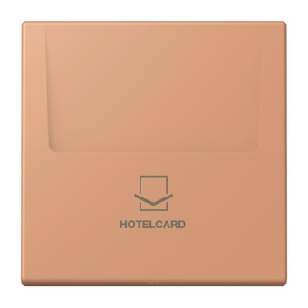 Jung Hotelcard-Schalter  LC 590 CARD 233 