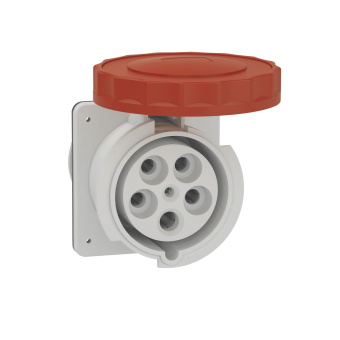 Schneider Anbausteckdose gerade    81695 