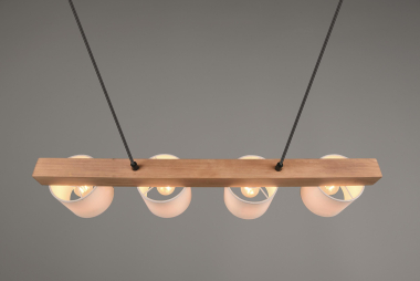 Trio Pendelleuchte CAMERON 4x  R30654001 