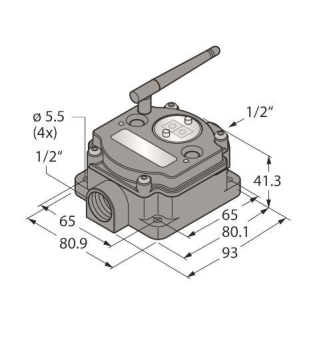Turck Funkübertragungs-    DX80N2X6S-PM2 