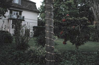LED Mini-Lichterschlauch Außen  3774-100 