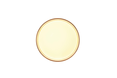 Trio LED-DL DOHA 29W 3260lm    641310208 