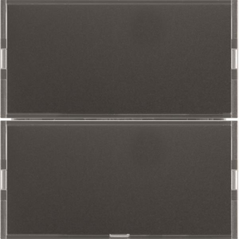Berker Tastsensor 2fach Komfort 80162785 