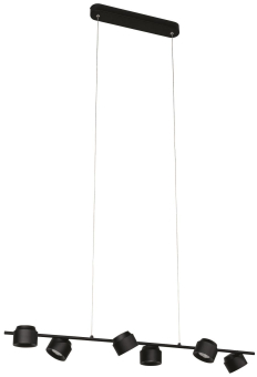 PAULM Pendelleuchte Puric Pane     79773 