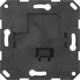 GIRA 232100 Eins.UP-Radio IP System 55 