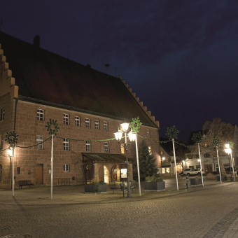 DOTLUX LED Straßenlampe      1665-221360 