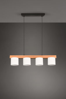 Trio Pendelleuchte CAMERON 4x  R30654001 