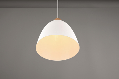 Trio Pendelleuchte JAGGER      R30681031 