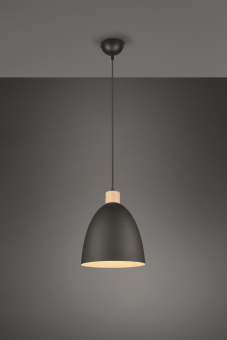 Trio Pendelleuchte JAGGER      R30681032 