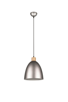 Trio Pendelleuchte JAGGER      R30681067 