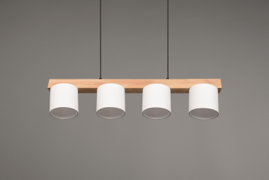 Trio Pendelleuchte CAMERON 4x  R30654001 