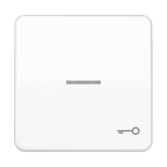 JG Wippe Symbol Tür       CD 590 KO5T WW 