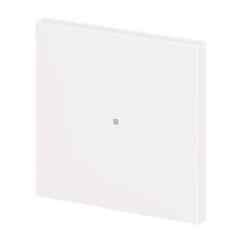 BJ Wippe 1-fach neutral      6230-10-44G 