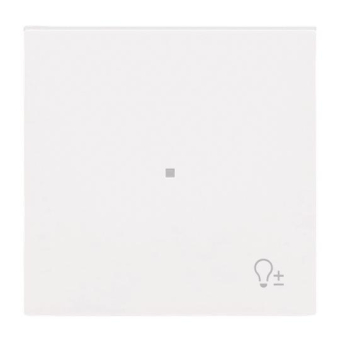 BJ Wippe 1-fach m.Symbol     6234-10-44G 