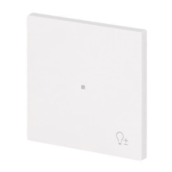 BJ Wippe 1-fach m.Symbol     6234-10-44G 